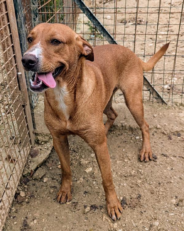 LO SPLENDIDO CORFU' Foto 6